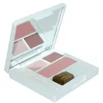 【CLINIQUE 倩碧】眼影腮紅組 COLOUR COMPACT