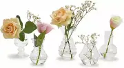 Verre Hand-Blown Glass Bud Vases - Artisanal Decorative Vases for Flowers, Elega