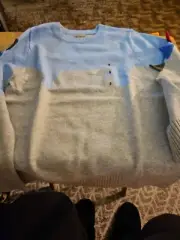 Kids Grey & Light Blue Dino Cardigan Sweater with 3d Tail Applique Size Small