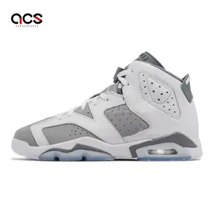 Nike Air Jordan 6 Retro GS 大童鞋 女鞋 Cool Grey 6代 喬丹 休閒鞋 384665-100