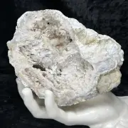 5-1/2” Natural GEODE Druzy Milky Spirit Quartz Crystal Cluster 2Lb Specimen KYUS