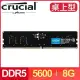 Micron 美光 Crucial DDR5-5600 8G 桌上型記憶體