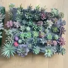 Bring the Outdoors In with 12pcs Artificial Succulents for Office and Home
