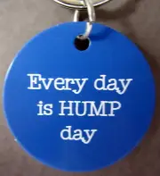 DOG ID TAG OR COLLAR CHARM ETCHED WITH "EVERY DAY IS HUMP DAY" BRAND NEW