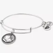 Alex & Ani Teacher Charm Bangle Bracelet Rafaelian Silver