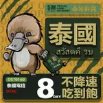 【鴨嘴獸 旅遊網卡】TRAVEL SIM 泰國8天 吃到飽上網卡(泰國上網卡 泰國旅遊卡 泰國上網卡)