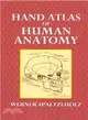 Hand Atlas of Human Anatomy