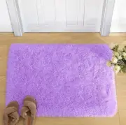 Modern Soft Small Fluffy Shaggy Area Rug for Living Room or Kids Bedroom or Baby