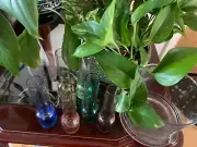7 pcs shot glass set downtown Multi color Circleware Gift Sale ice bucket party