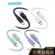 ANKER A8552 643 PowerLine USB-C to USB-C傳輸充電線 0.9M