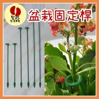 在飛比找Yahoo!奇摩拍賣優惠-盆栽固定桿 植物支撐桿 植物支架 【 37cm】 花盆支撐架