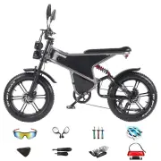 [EU DIRECT] RANDRIDE DM711 Electric Bike 48V 20Ah 1000W*2 Dual Motor 20 Inch Tires Electric Bike 50-60KM Mileage Disc Br