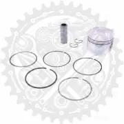 New Complete Piston Kit Gy6125cc 152Qmi Fits Jmstar Flagship S6 125