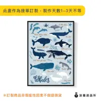在飛比找momo購物網優惠-【菠蘿選畫所】淘氣鯨豚圖鑑 - 50x70cm(海底世界/客
