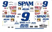 #9 Lake Speed Spam Thunderbird 1995 1/32nd Scale Slot Car Watreslide Decals