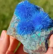 2025NEWFIND Natural Raw Dandelion Zeolite Cluster Quartz Crystal Reiki Specimens