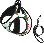 Algeria Flag Map print Dog Harness and Leash Set, Reflective Adjustable Puppy Vest for Small Medium Large Dogs, Cats