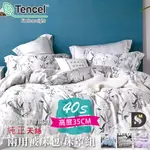 今日特價100%天絲床包組 鋪棉床罩組 雙人 加大 特大 TENCEL 天絲 床包 床罩 四件式 七件式