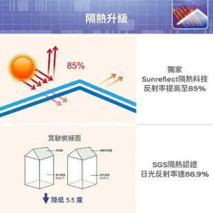 【得利官方旗艦店】25坪基本版 A959倍剋漏屋頂防水組(防水漆 隔熱漆)