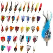 39 Pcs Hat Feathers Assorted Feathers for Hats Colorful Real Feathers for DIY Cr