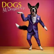 Gladstone Media, Dogs All Dressed Up 2025 Wall Calendar