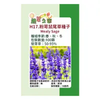 在飛比找PChome24h購物優惠-H17.粉萼鼠尾草種子