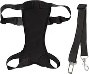 Adjustable Dog Car Harness with Seat Belt Breathable Mesh Safety Vest for Secure Travel (S)