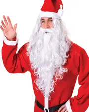 Classic Long Santa Wig and Beard Set