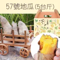 在飛比找台灣好農優惠-【六香田】台農57號地瓜(5台斤)