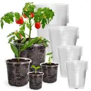 36 Packs 6.7/5/4/3.5 Inch Reinforced Clear Nursery Pots with Drainage Hole, Tran