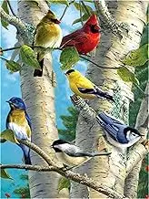 Meecaa Paint by Numbers Bird Tree Animal Kit for Adults Beginner DIY Oil Painting 16x20 inch (Bird, No Frame)