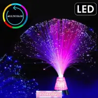 在飛比找蝦皮購物優惠-TikTok LED Multicolour Fibre O