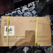 Bluesound Pulse 2i Smart Speaker