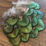15pcs Natural Rare 4-5cm Peacock Plumage Feathers DIY Art Craft Jewellery