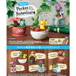 🔥現日版 RE-MENT 盒玩 寶可夢 口袋小盆栽  一中盒6入 ポケットモンスター POCKET BOTANICAL