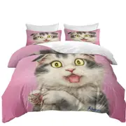 Kittens Cute Drawings Grey Scottish Fold Cat Quilt Cover