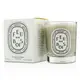 Diptyque - 炭木香 迷你香氛蠟燭 Scented Candle - Feu De Bois (Wood Fire)