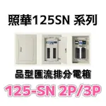 照華 125-SN 2P/3P 品型箱 匯流排開關箱 鐵箱 配電箱 分電箱 無熔絲開關 箱體 不含開關