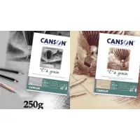 在飛比找蝦皮購物優惠-法國製 CANSON C”àgrain 250g CA 30