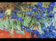 Needlepoint Tapestry Painted Canvas Gobelin 14282 Irises. 24"x36" by Rto