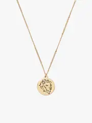 in the stars leo pendant