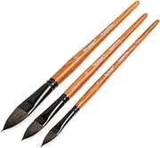 Dainayw Oval Wash Paint Brushes Set, Artist Squirrel Hair Professional Cats Tongue Shape Brush for Watercolours Gouache Illustration 3 Pieces