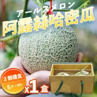在飛比找momo購物網優惠-【果樹寶石】中部日本阿露斯哈密瓜2顆x1盒（5斤/盒）(產銷
