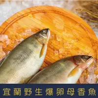 在飛比找蝦皮購物優惠-【就是愛海鮮】宜蘭野生爆卵母香魚/kg 4隻/5隻/6隻//