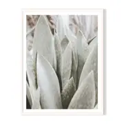 Broad Sheet Framed Printed Wall Art - White