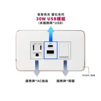 在飛比找特力屋線上購物優惠-【易智快充】30W USB插座面板for國際牌®Risna®