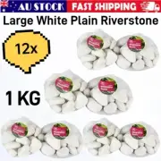 12KG Large White Plain Riverstone 100% Natural River Stone Pebble Decor Garden