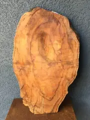 Spalted Maple Slab Charcuterie Board Serving Board 1" x 16" x 34" #OMS-2