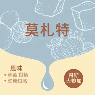 【Verytime 啡茶時刻】音樂家系列 莫札特 4盒組 10gx80入(淺烘焙/蜜處理/哥斯大黎加)