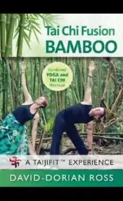 David-Dorian Ross - DVD Video Tai Chi Fusion Bamboo (DVD) Brand New Sealed